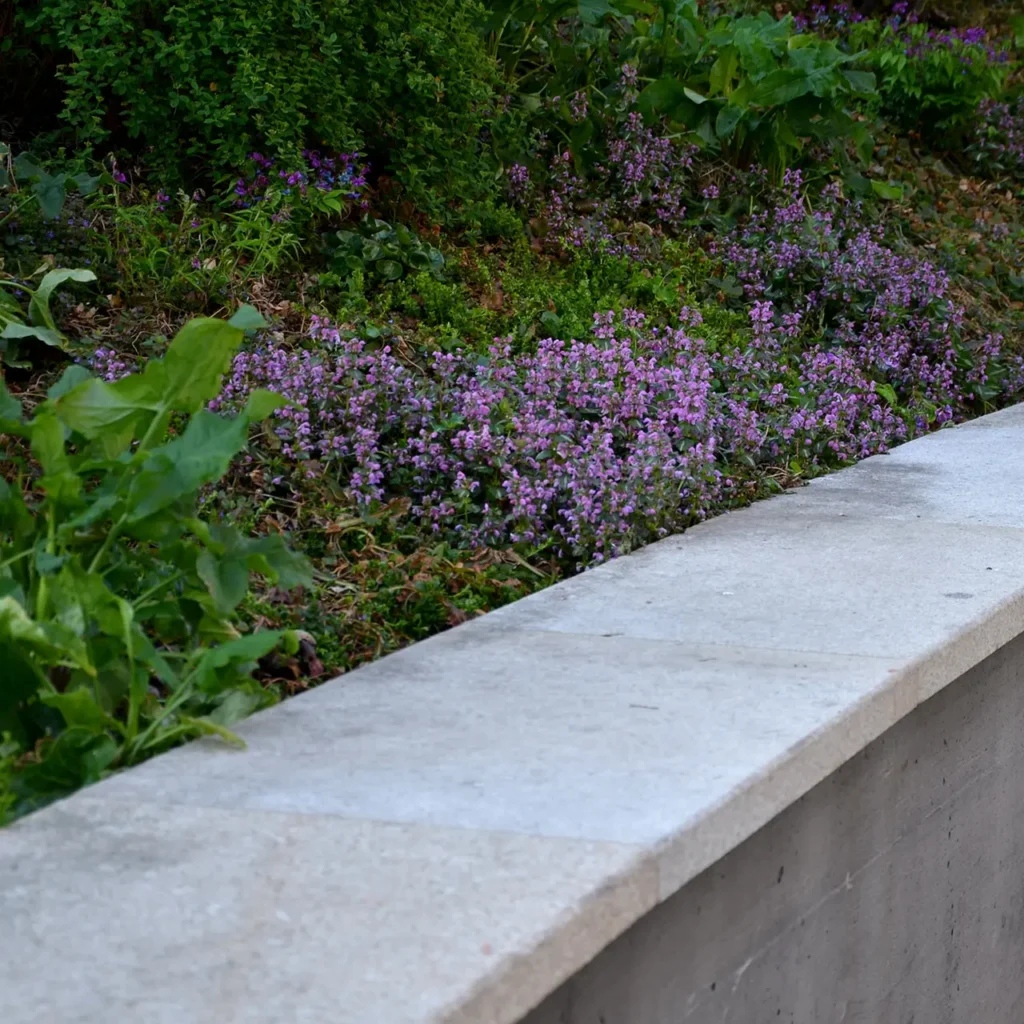 site prep services in Albers IL